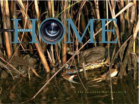 Hardcover StayingHOME: Bay to Shore Discoveries Book