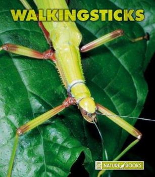 Library Binding Walkingsticks Book
