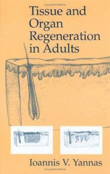 Hardcover Tissue and Organ Regeneration in Adults Book