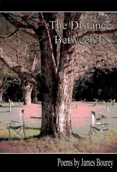 Perfect Paperback The Distance Between Us Book