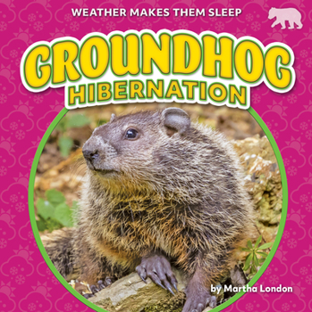 Library Binding Groundhog Hibernation Book
