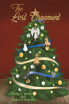 Paperback The Lost Ornament Book