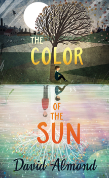 Hardcover The Color of the Sun Book