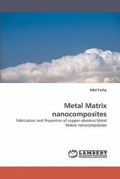 Paperback Metal Matrix Nanocomposites Book