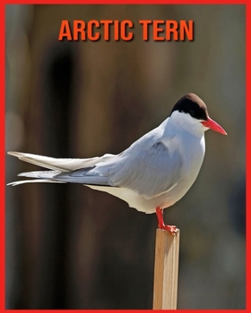 Paperback Arctic Tern: Amazing Pictures & Fun Facts on Animals in Nature Book