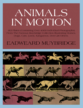 Hardcover Animals in Motion Book