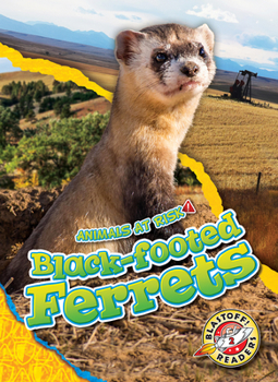 Library Binding Black-Footed Ferrets Book