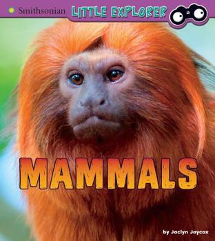 Hardcover Mammals: A 4D Book