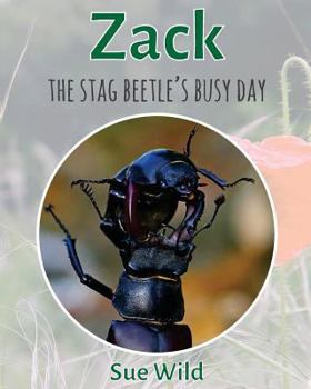 Paperback Zack: The stag beetle's busy day Book