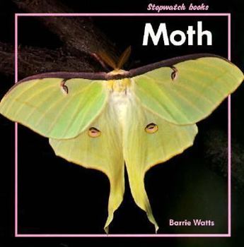 Paperback The Moth Book