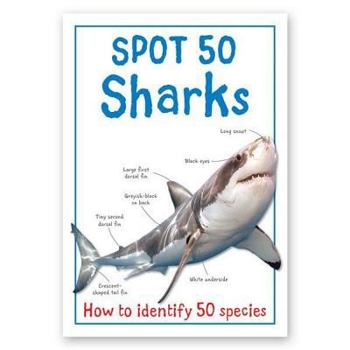 Spot 50 - Sharks