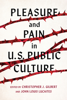 Paperback Pleasure and Pain in Us Public Culture Book
