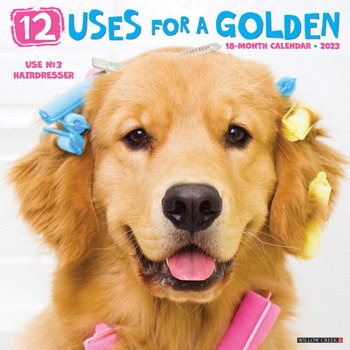 Calendar 12 Uses for a Golden 2023 Wall Calendar Book