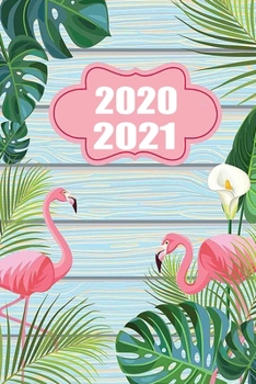 Paperback 2020 / 2021: Schulplaner f?r das Jahr 2020 bis 2021 [German] Book