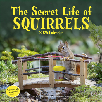 Calendar Secret Life of Squirrels Wall Calendar 2026 Book
