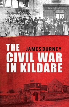 Paperback The Civil War in Kildare Book