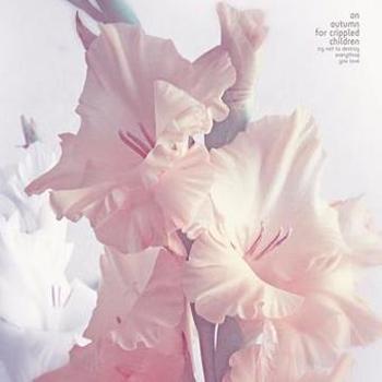 Vinyl Try Not To Destroy Everything You Love Book