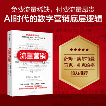 Paperback Traffic Marketing [Chinese] Book