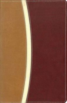 NIV Large Print Reference Personal Size Bible, Italian Duo-tone, Camel / Burgundy