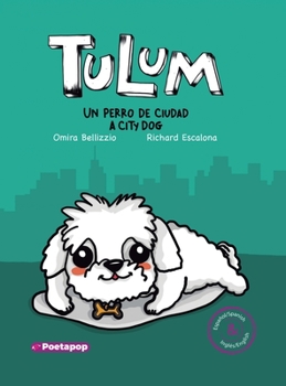 Hardcover Tulum un perro de ciudad / Tulum a city dog [Spanish] Book