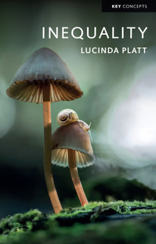 Paperback Inequality Book