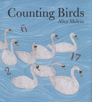 Hardcover Counting Birds Book