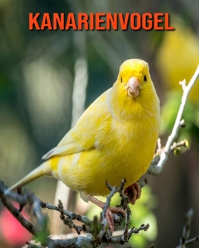 Paperback Kanarienvogel: Erstaunliche Fakten & Bilder [German] Book