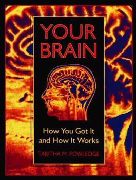 Hardcover Your Brain: How You Got It and How It Works Book