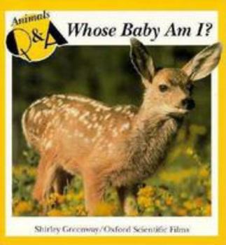 Paperback Whose Baby Am I? Book