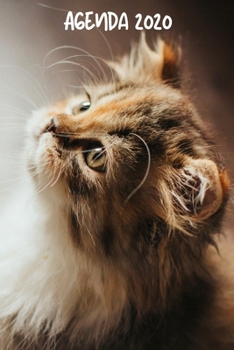 Agenda 2020: Hebdomadaire 1 Semaine par page Format A5 | Janvier 2020 à Décembre 2020 | Planificateur Organiseur Semainier avec Calendrier et Carnet ... Pour les Amoureux des Chats (French Edition)