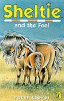 Paperback Sheltie 22: Sheltie and the Foal Book