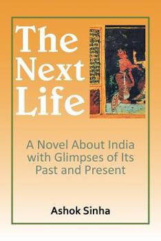 Paperback The Next Life: A Novel about India with Glimpses of Its Past and Present Book