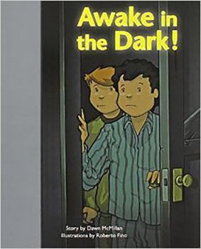 Paperback Rigby PM Stars Bridge Books: Leveled Reader 6pk Silver Awake in the Dark Book