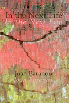 Paperback In the Next Life Book