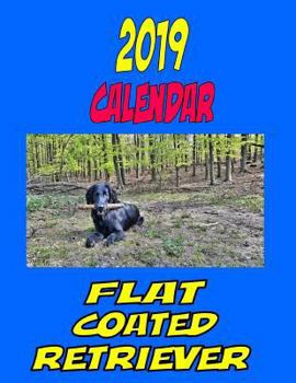 Paperback 2019 Calendar Flat Coated Retriever: Dog weekly calendar, personal contacts list, password log, notes and to do list. Book