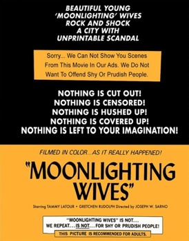 Blu-ray Moonlighting Wives Book