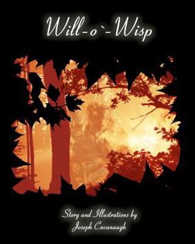 Paperback Will-o'-Wisp Book