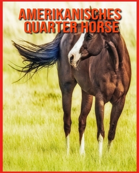 Amerikanisches Quarter Horse: Erstaunliche Fakten über Amerikanisches Quarter Horse