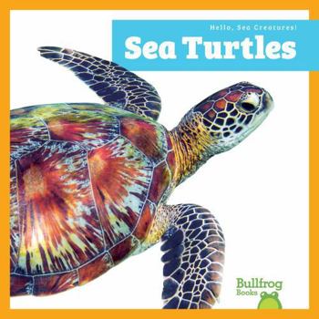 Paperback Sea Turtles (Hello, Sea Creatures!) Book
