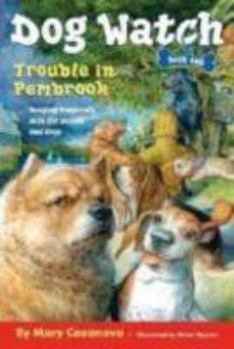Paperback Trouble in Pembrook Book