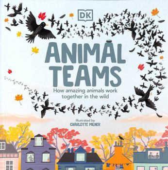 Paperback Animal Teams: How Amazing Animals Work Together in the Wild Book