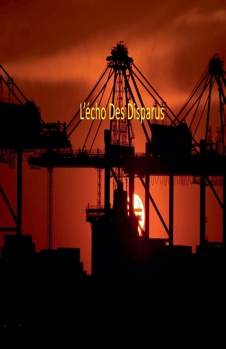L'écho Des Disparus (French Edition)