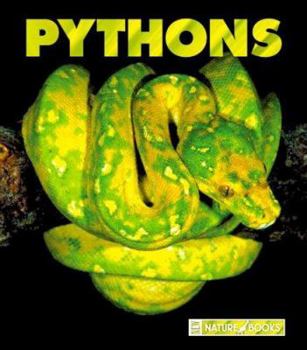 Library Binding Pythons Book