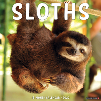 Calendar Sloths 2022 Wall Calendar Book