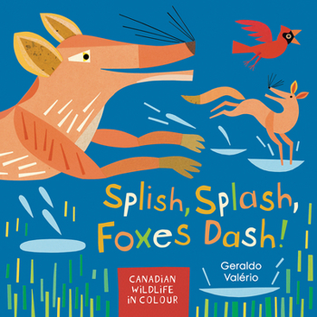 Hardcover Splish, Splash, Foxes Dash!: Canadian Wildlife in Colour Book