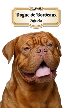 Paperback 2020 Dogue de Bordeaux Agenda: 107 Pagine - Dimensioni DIN A5 - Pianificatore Settimanale - 12 Mesi - Due Pagine Per Settimana - Calendario - Diario [Italian] Book