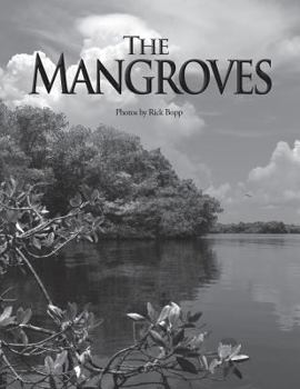 Paperback The Mangroves Book