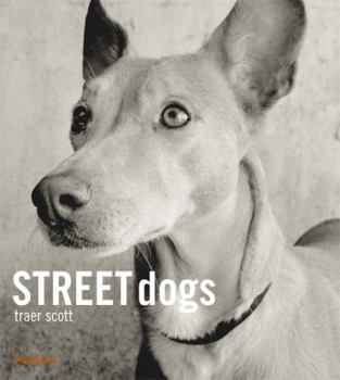 Hardcover Street Dogs Book