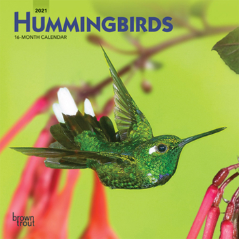 Calendar Hummingbirds 2021 Mini 7x7 Book