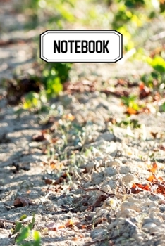 Paperback Notebook: Id?al pour vos prises de notes, votre carnet vous permettra de ne rien oublier - Original & pratique de 110 pages lign Book